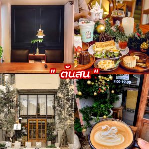 January Cafe คาเฟ่ คาเฟ่เชียงใหม่ คาเฟ่ คาเฟ่ใกล้ฉัน ร้านกแฟใกล้ฉัน